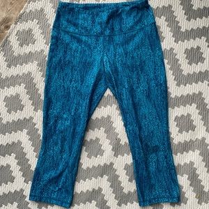 Patagonia centred crops